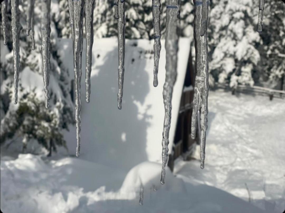 Vikendica Tarsko Srce S Mitrovac Exterior foto